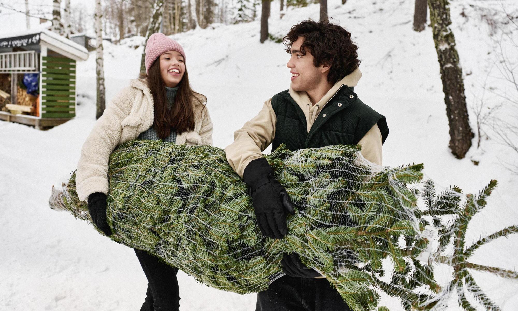Teenagers carrying a Christmas tree