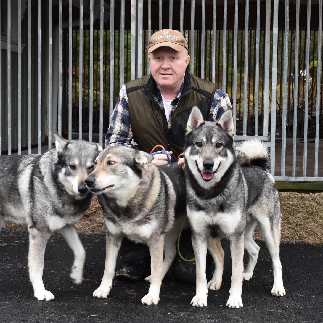 Gerhard Stensson med sina hundar
